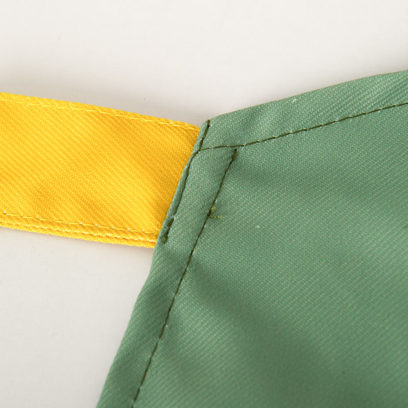 Waterproof Dinosaur Printed Kids Apron 